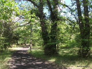 anobello-26-05-2013 09-54-08
